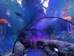 -沈阳海洋探索中心