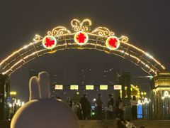 -武汉知音号
