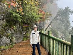 -塔云山