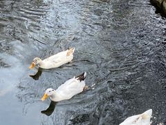 -水磨沟公园