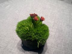 -南堂馆·新川菜(春熙路店)