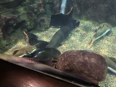 -太平洋海底世界