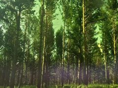 -塞罕坝国家级自然保护区