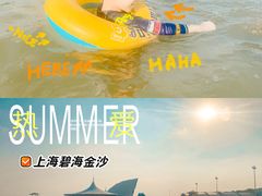 -碧海金沙