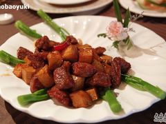 _MG_3495-大益膳房(华腾科技大厦店)