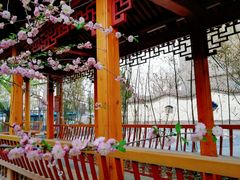 -中国中医科学院望京医院(院本部)
