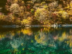 -叠溪松坪沟景区