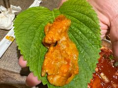 -坦坦大炉·韩式烤肉(望京店)