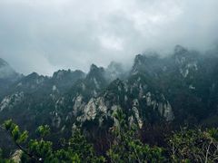 -王顺山国家森林公园