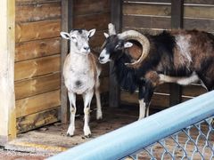 -长白岛森林公园