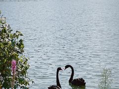 -长春市南湖公园