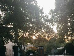 -杭州西湖博物馆总馆