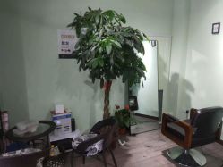 点击看大图 -初心HAlRSALON烫染接发
