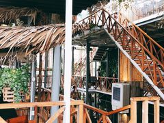 -Rainforest