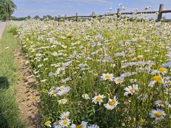 -汉长安城未央宫国家考古遗址公园