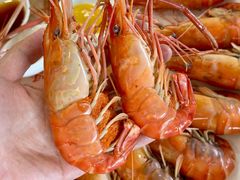 -品鲜村农家菜·阳澄湖大闸蟹(总店)