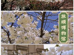 -旅顺博物馆