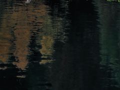 -重庆彩云湖湿地公园