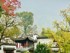 -塔川景区