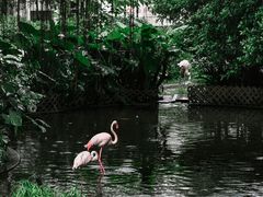 -九龙公园