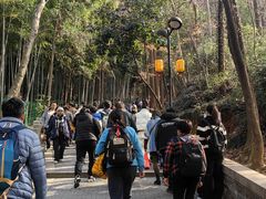 -灵岩山风景区