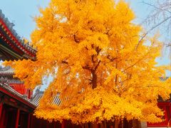-承恩寺
