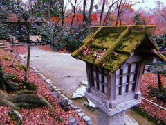 -常寂光寺