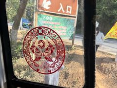 -野象谷景区