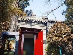 -The Georg(东华门店)