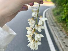 -宝界山林公园