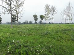 -汉长安城未央宫国家考古遗址公园