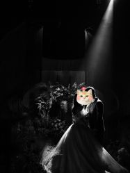 -南昌喜来登酒店·宴会厅