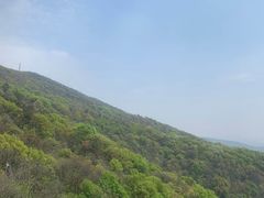 -紫金山山顶公园