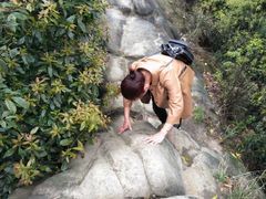 -南山植物园