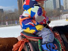 -沈阳奥体冰雪嘉年华