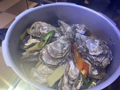 -千岛蚝高压锅生蚝·人参火锅(白云万达店)