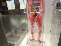 -生命奥秘博物馆