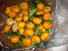 -江杨农产品批发市场