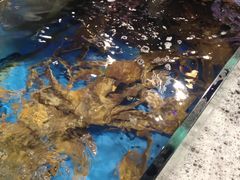 -蟹之国·精品蟹料理(极地店)