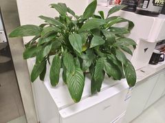 -中田健身工作室(东园店)