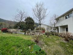 -苏州环秀晓筑养生度假村