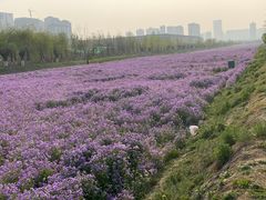 -汉长安城未央宫国家考古遗址公园