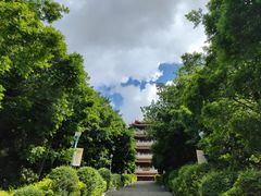 -长安公园