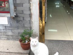 -静一餐厅·湖北菜(前门店)