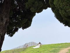 -小麦岛公园