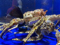 -老妈疙瘩汤·平价海鲜专门店·老威海菜(渔港路店)