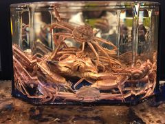 -蟹道乐(道顿堀本店)