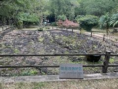 -海口火山口国家地质公园