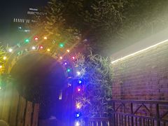 -麦落精酿啤酒餐吧(先农大院店)