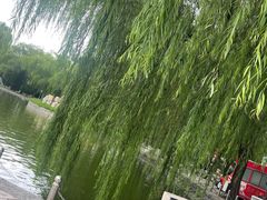 -北京世界公园
